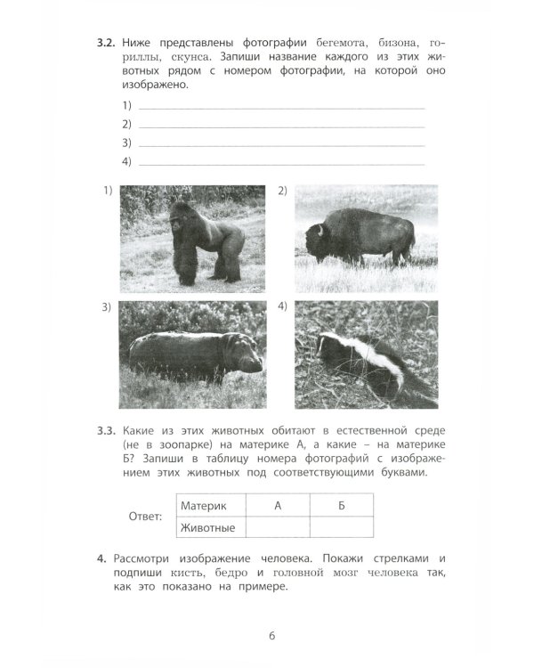 Окружающий мир. 4 кл. 10 вариантов итоговых работ для подготовки к ВПР: Учебное пособие