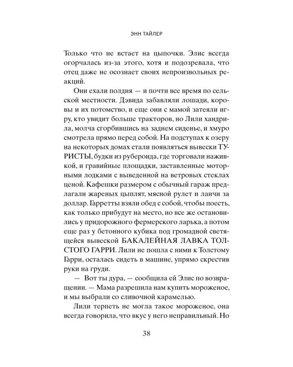 Французская косичка: роман