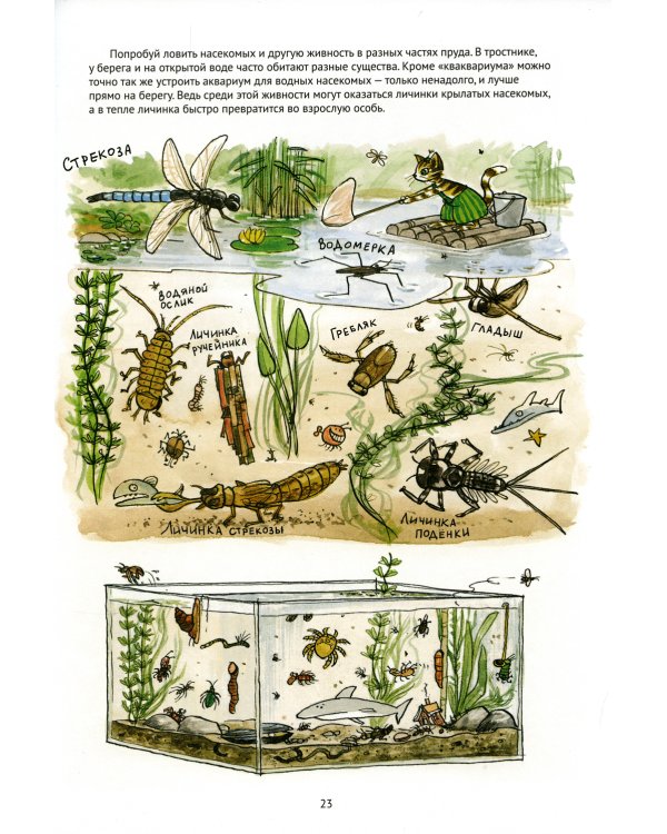 Поделки Финдуса