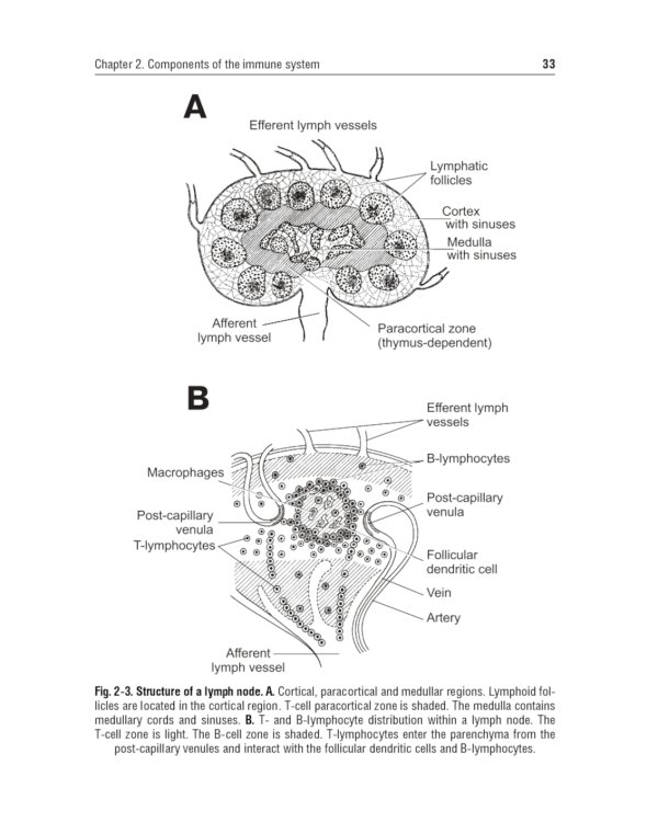 Immunology. Textbook