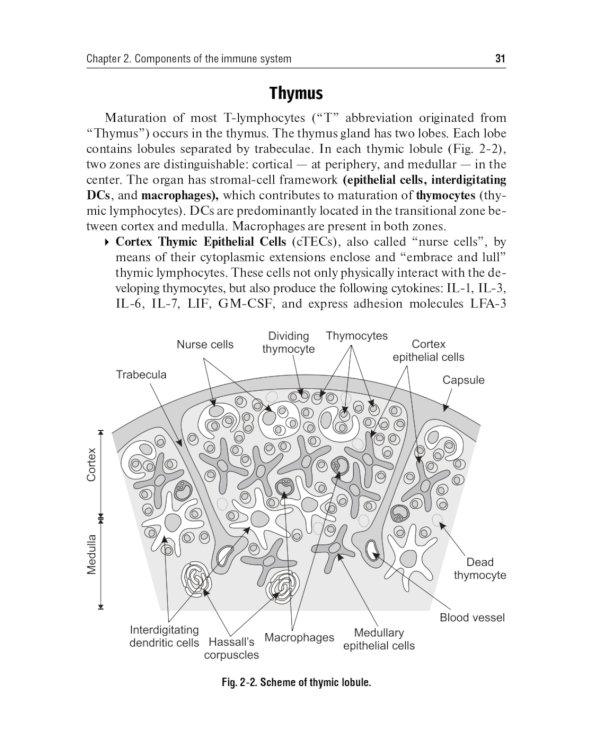 Immunology. Textbook