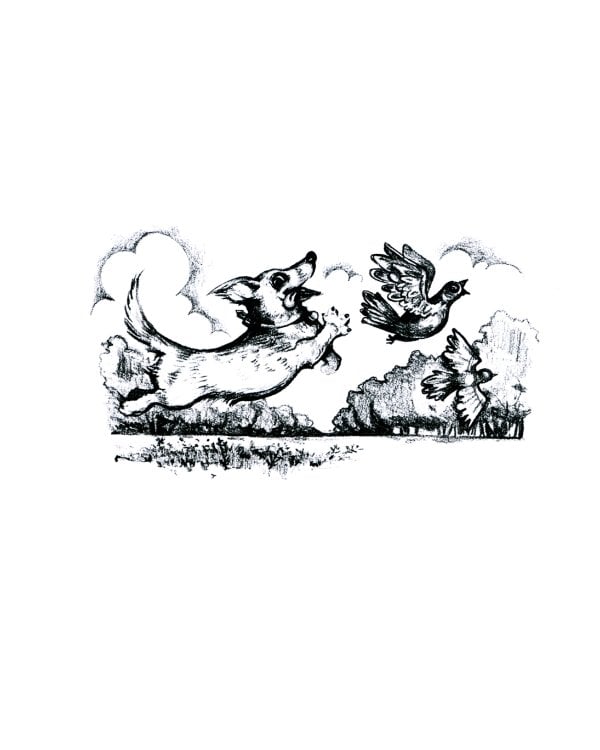 Королевский корги