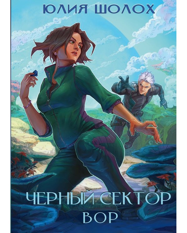 Черный сектор. Вор. Кн. 4