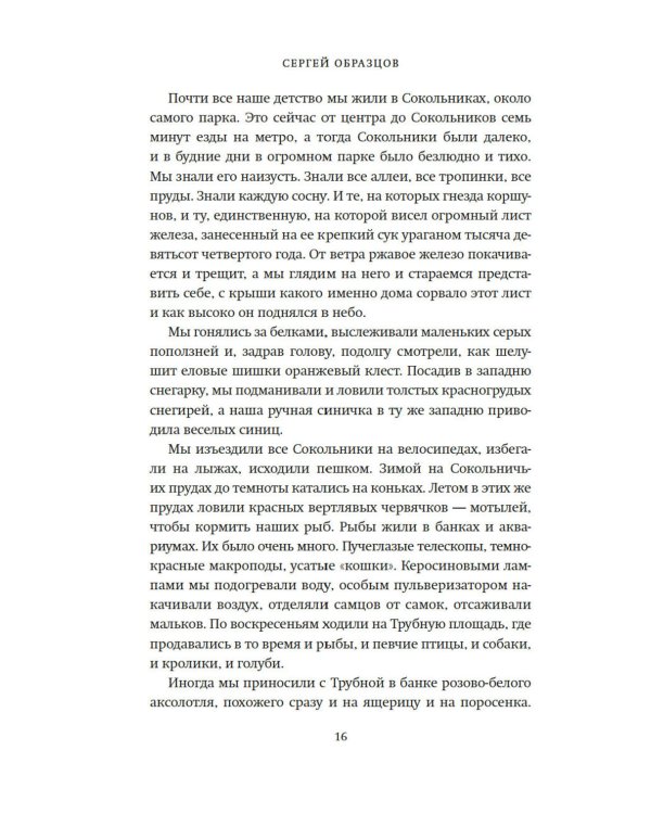 Моя профессия