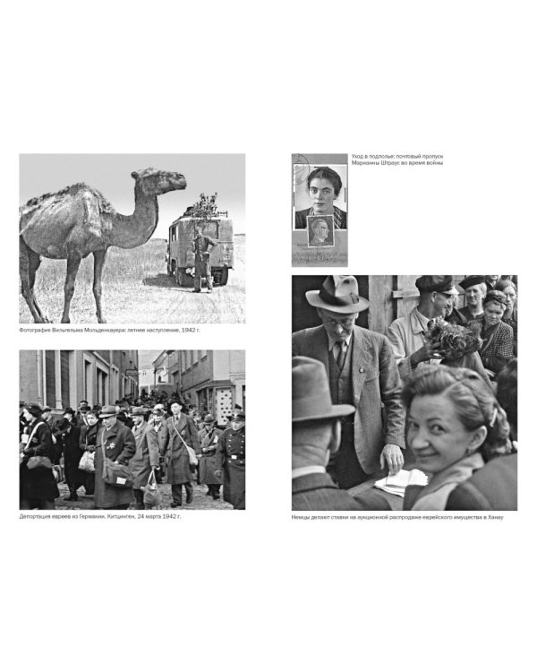 Мобилизованная нация: Германия 1939–1945