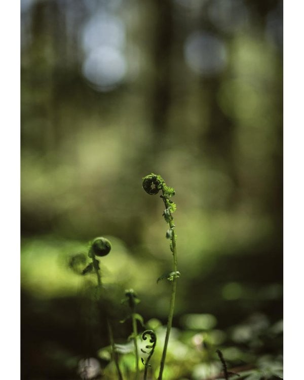 Под открытым небом. Как жить в гармонии с природой