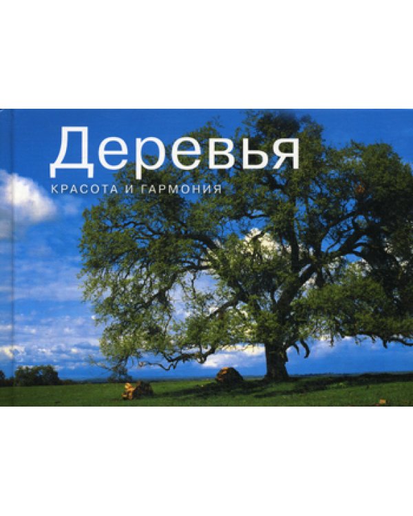 Деревья. Красота и гармония