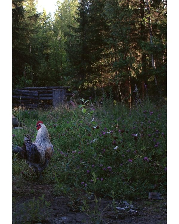 Под открытым небом. Как жить в гармонии с природой