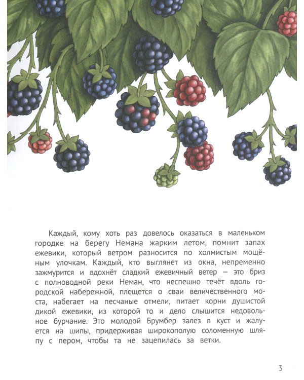 Честный Брумбер