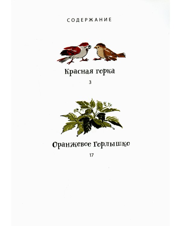 Оранжевое Горлышко