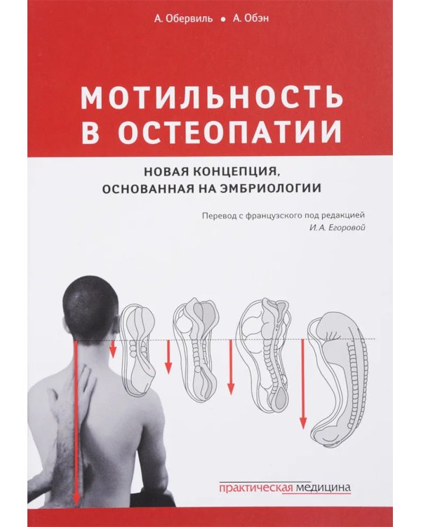 Мотильность в остеопатии. Новая концепция, основанная на эмбриологии