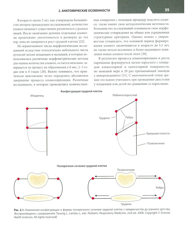 Клиническая анестезиология в педиатрической практике: Руководство для врачей