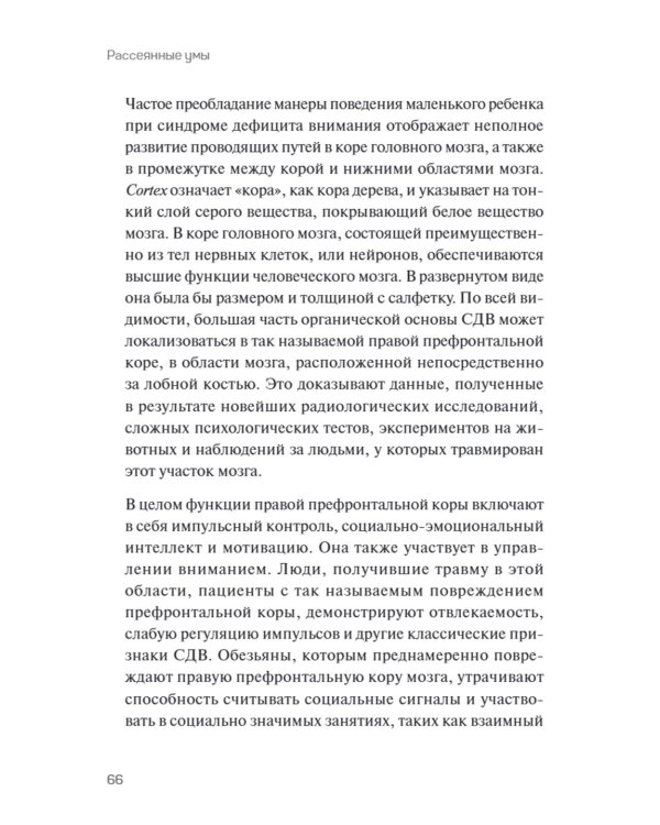 Рассеянные умы. Происхождение синдрома дефицита внимания и исцеление от него