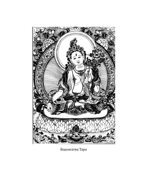 Путь Будды. Словарь