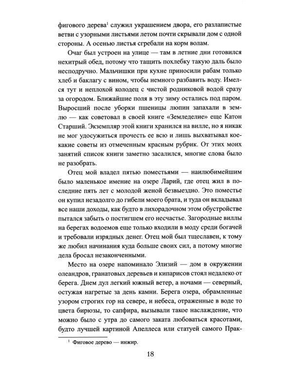 Братья Гракхи, внуки Сципиона: роман