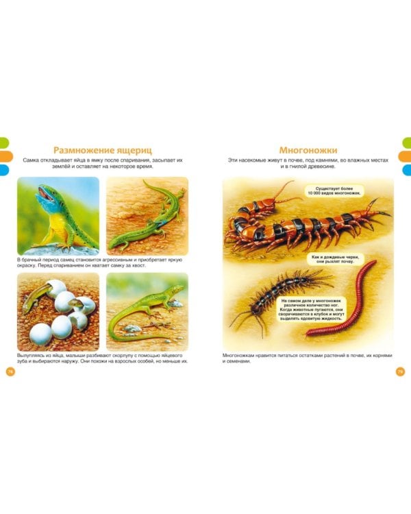 Животные-малютки