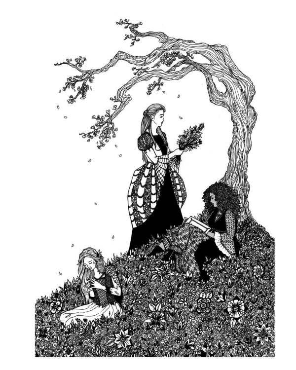 13 сказок лесов и морей