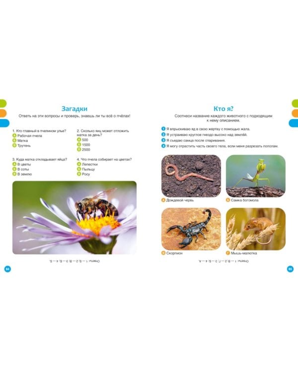 Животные-малютки