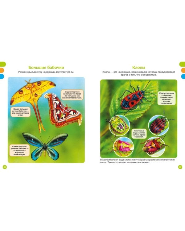 Животные-малютки