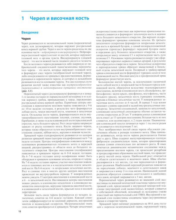 Дифференциальная диагностика в нейровизуализации. Голова и шея