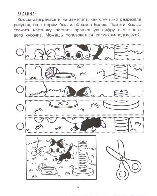 Мои новые обязанности