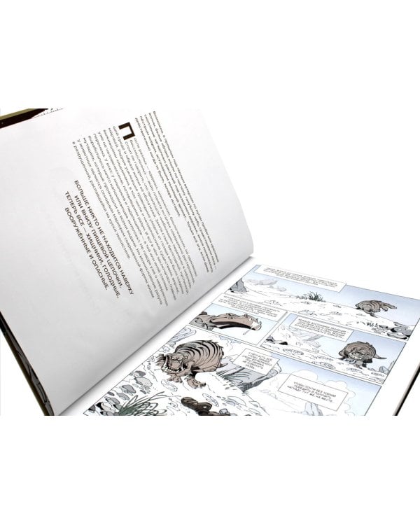 Соло. Пережившие хаос: графические романы