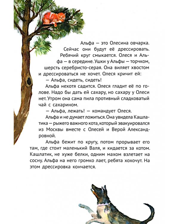 Сосны шумят