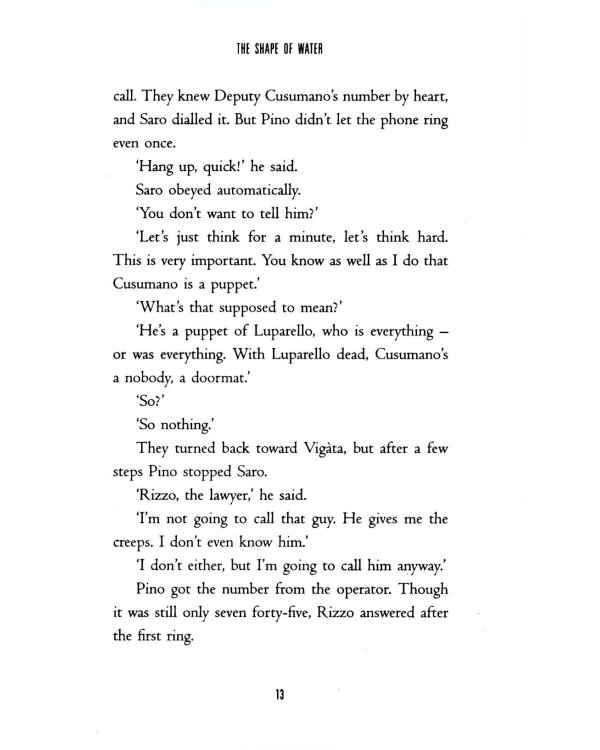 The Shape of Water (Inspector Montalbano)