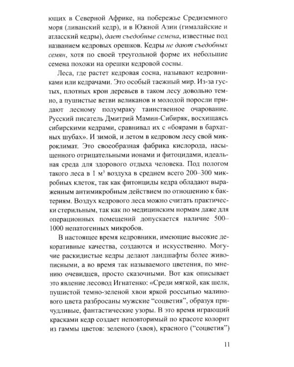 Кедровое масло. Мифы и реальность