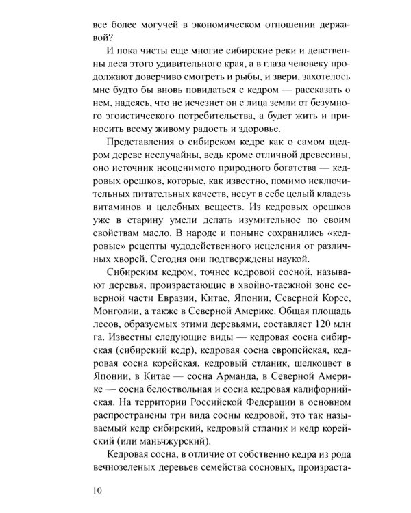 Кедровое масло. Мифы и реальность