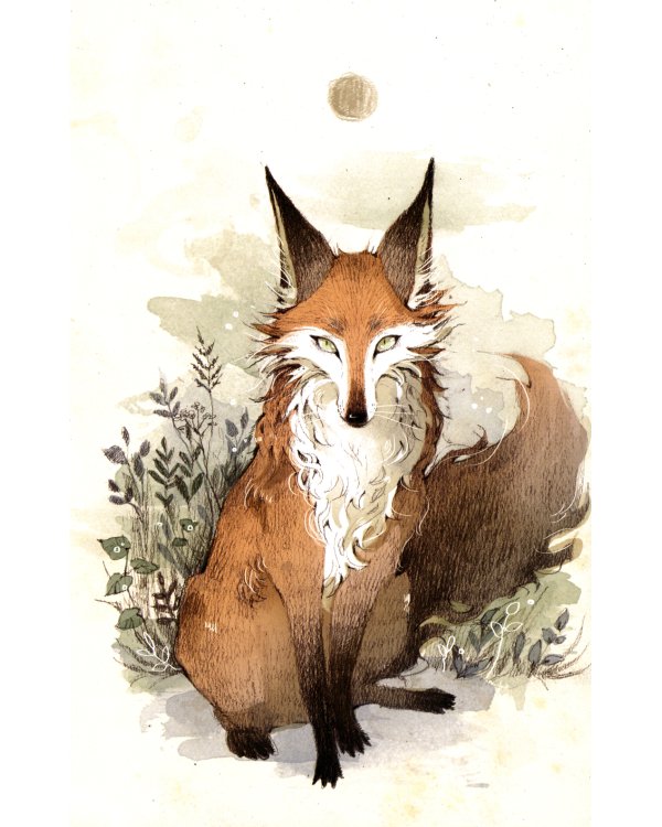 Фрэнсис: графический роман