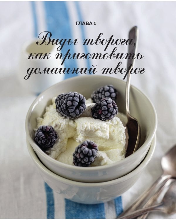 Творог, сдоба и любовь: нежные рецепты для всей семьи: от сырников и запеканок до чизкейка и штоллена