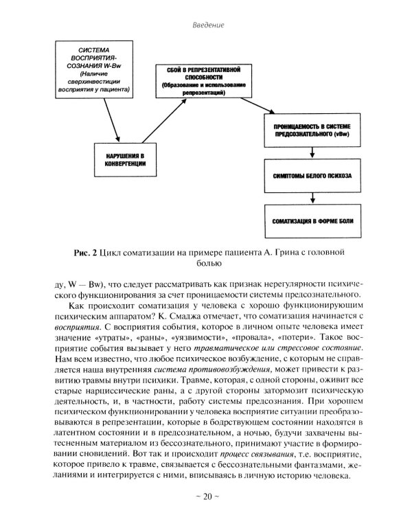 Психоаналитическая психосоматика и психоонкология. Вводное руководство для психоаналитиков, психоаналитически-ориентированных психологов