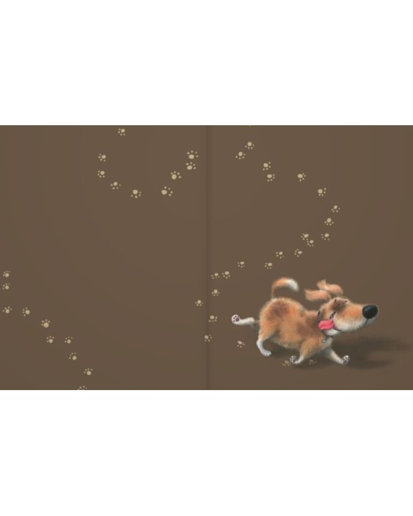 Жизнь собачья: стихи