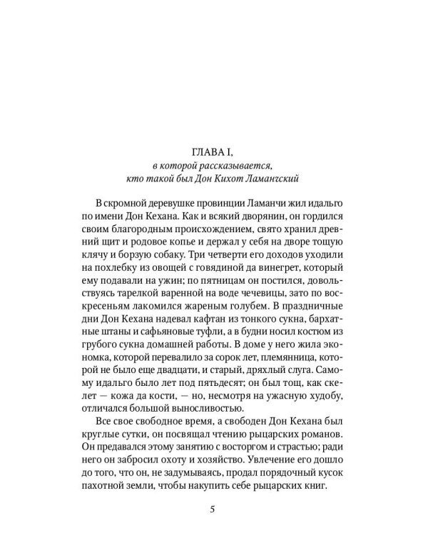 Дон Кихот: роман