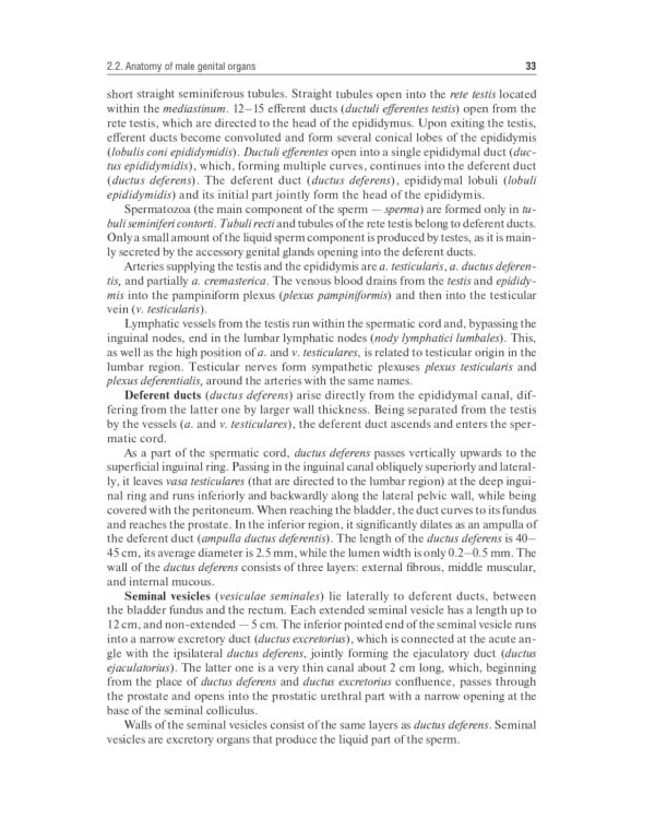 Urology: textbook: на англ.яз. 2-е изд., перераб.и доп