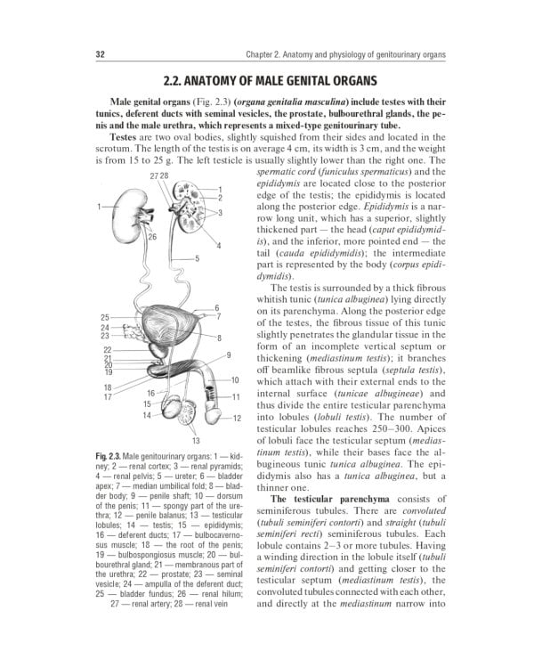 Urology: textbook: на англ.яз. 2-е изд., перераб.и доп