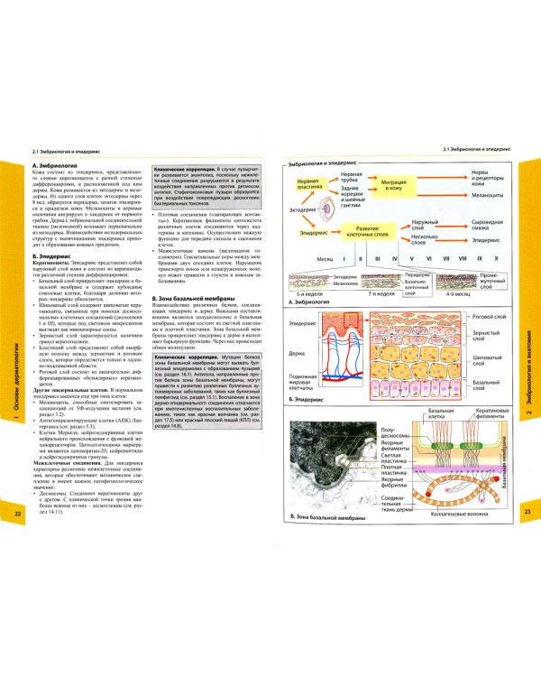 Атлас по дерматологии. 4-е изд