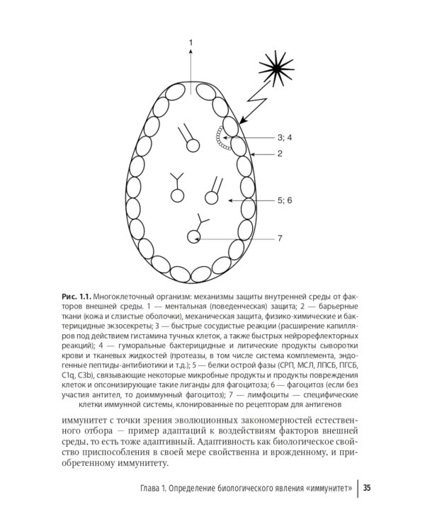 Наука об иммунитете - современные тренды