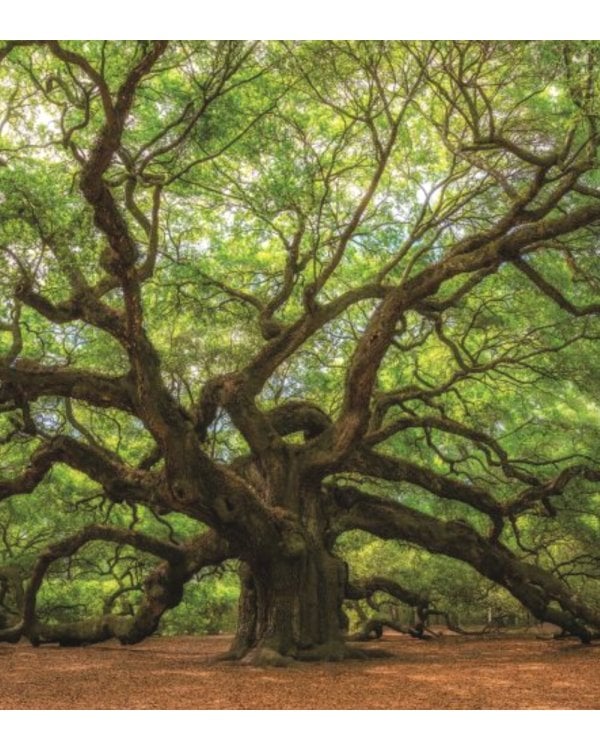Тайны космоса. Звезды и планеты бескрайней Вселенной