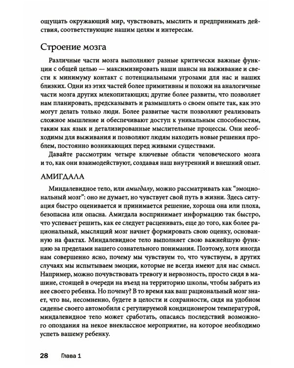 Преодоление тревожности родителей. Как воспитывать детей без лишнего волнения