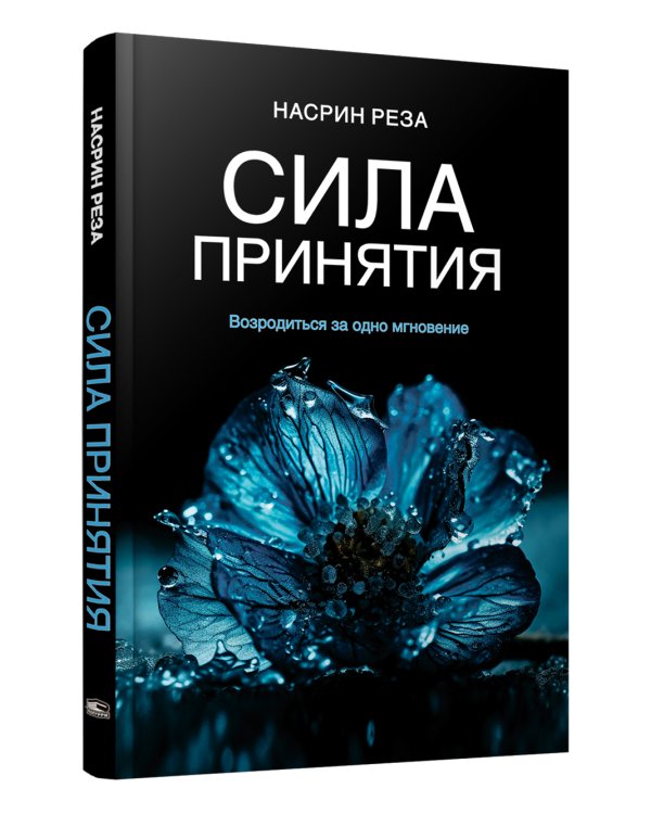 Сила принятия. Возродиться за одно мгновение