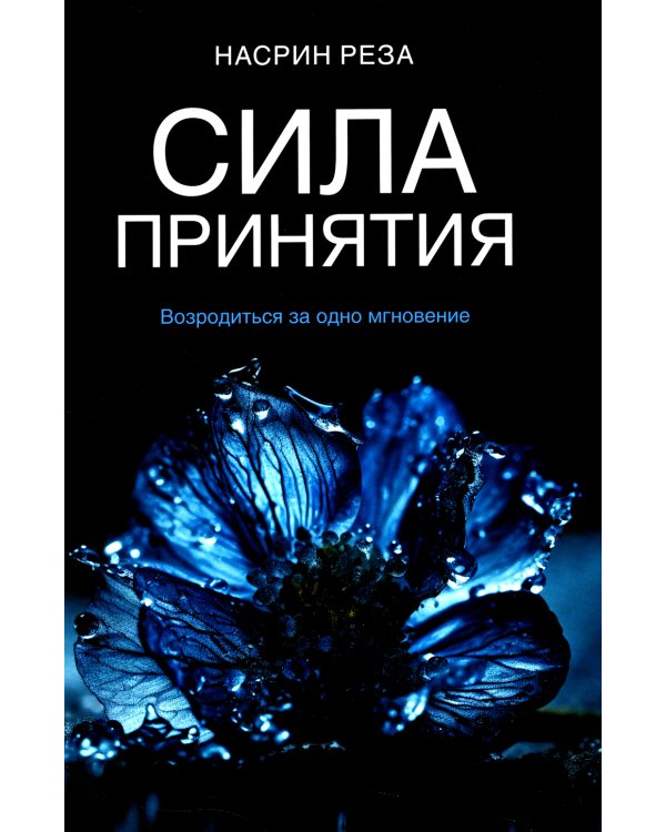 Сила принятия. Возродиться за одно мгновение