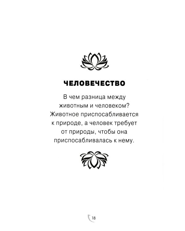 Сила принятия. Возродиться за одно мгновение