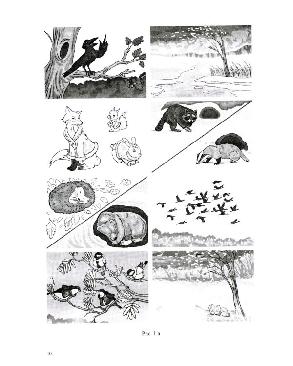 Развитие речи в старшей группе для детей с ТНР (с 5 до 6 лет). Конспекты занятий воспитателя