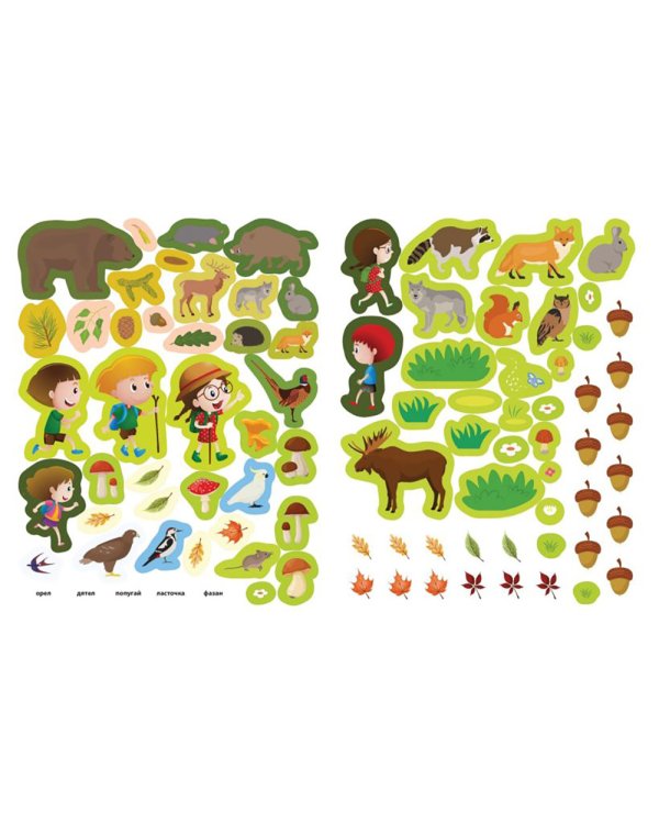 В лесу. 150 наклеек: обучающая книга-игра