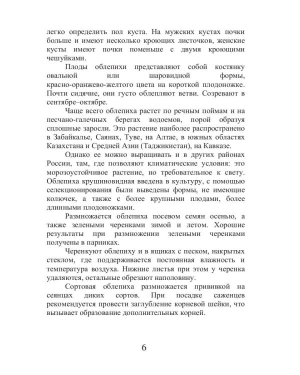 Целительная облепиха