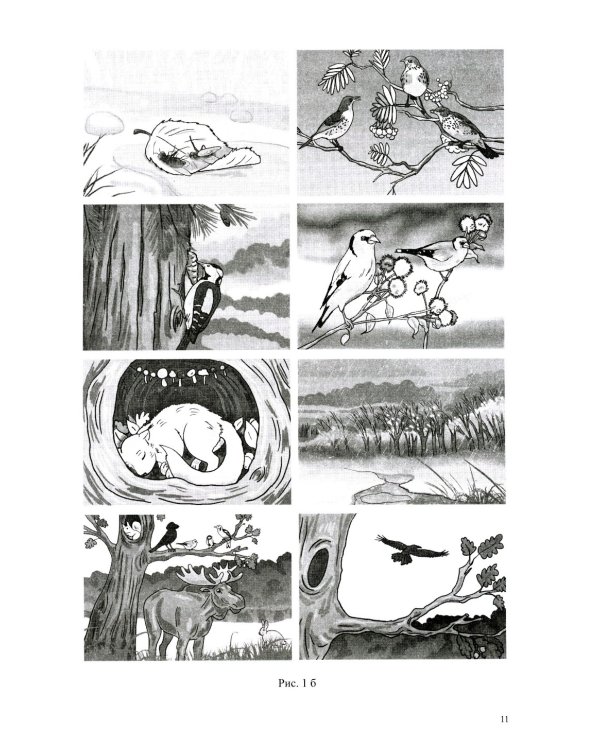 Развитие речи в старшей группе для детей с ТНР (с 5 до 6 лет). Конспекты занятий воспитателя