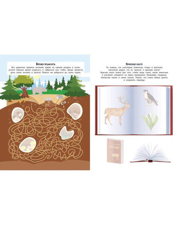 В лесу. 150 наклеек: обучающая книга-игра