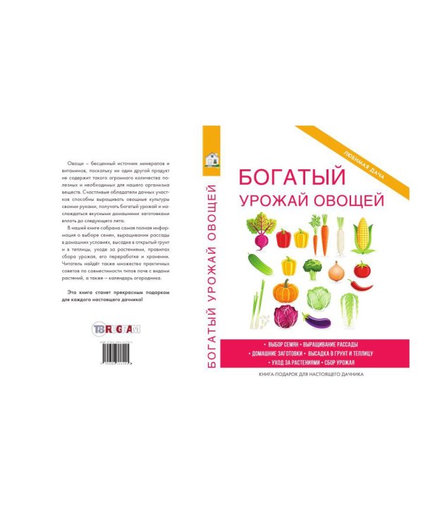 Богатый урожай овощей